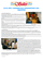 Sim Sales Bim n. 18 - Ottobre 2001