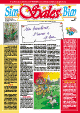 Sim Sales Bim n. 47 - Dicembre 2008
