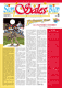 Sim Sales Bim n. 55 - Dicembre 2010