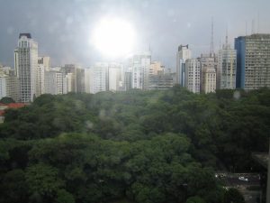 IMG_0708