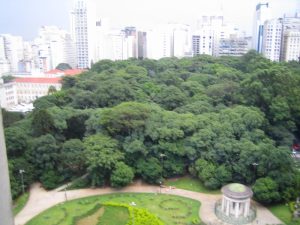 IMG_0710