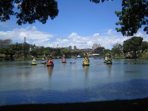 IMG_0720