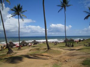 IMG_0739