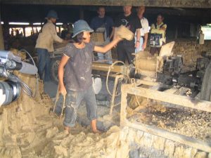 big_bimba_lavoro