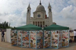 amattina001 (19)